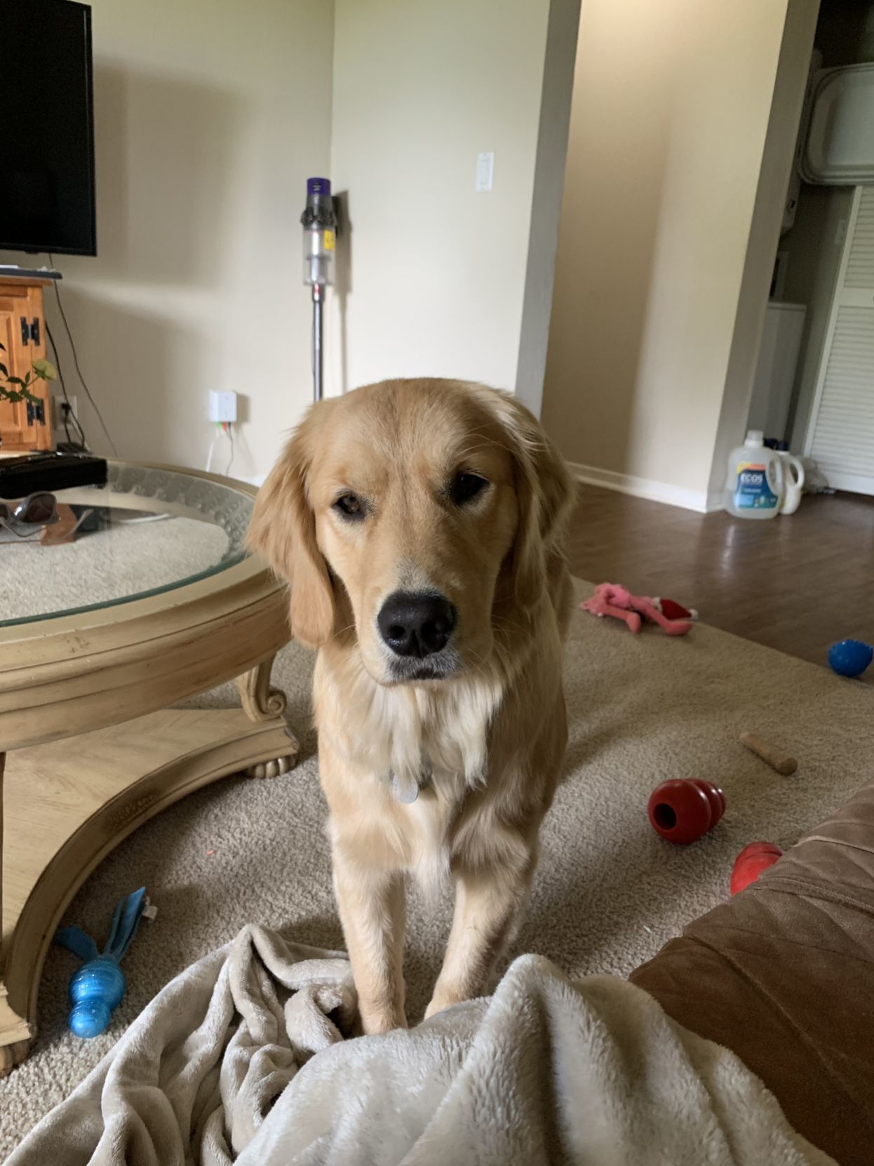 Bonnie